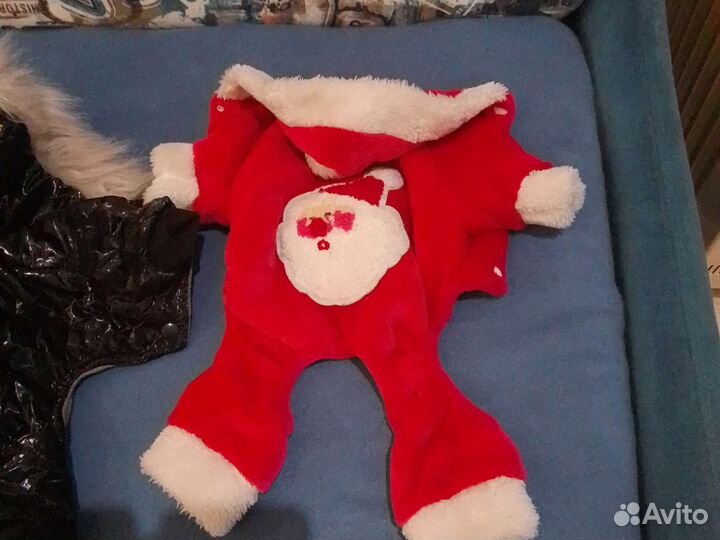 Одежда для тоя