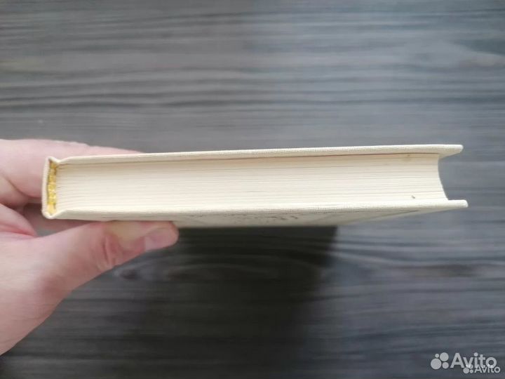 Купер Ф.Шпион, или повесть о нейтрал-й территории