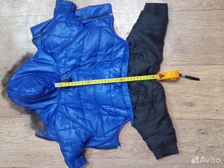 Одежда для маленьких собак