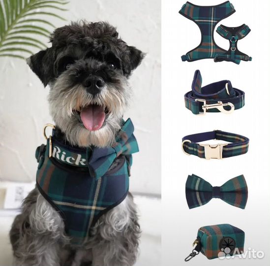 Амуниция для собак с вышивкой и гравировкой шлейка