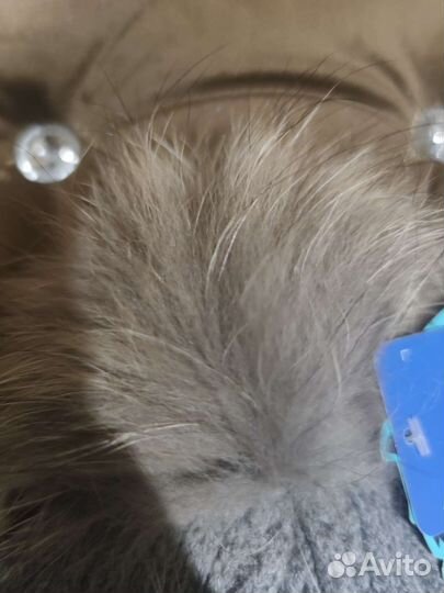 Шапка для мальчика 52-54