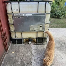 Куб для воды еврокуб