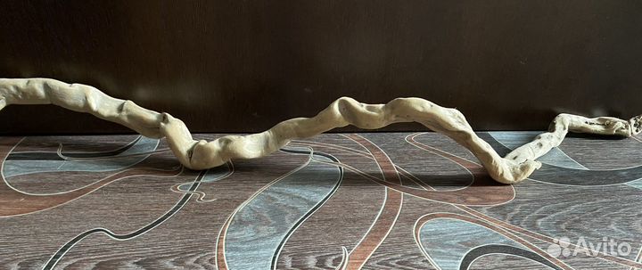 Коряга Корень