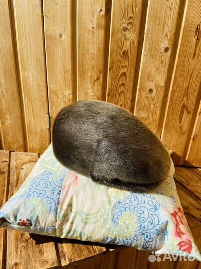 Шапки меховые мужские