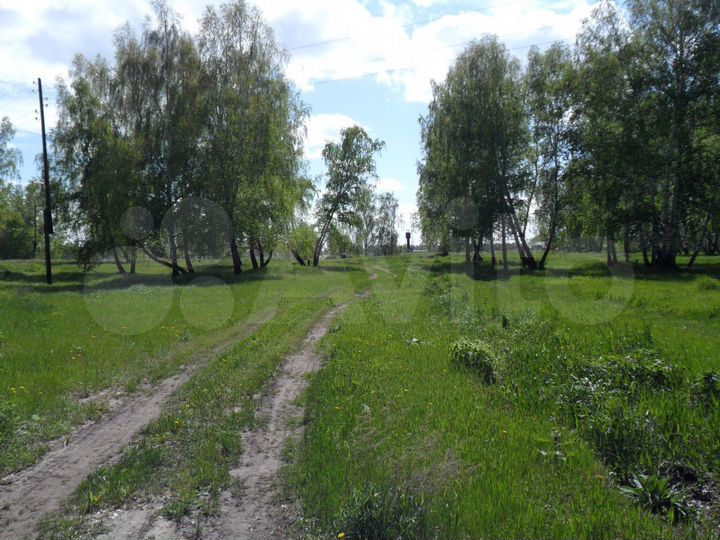 Участок 10 сот. (СНТ, ДНП)