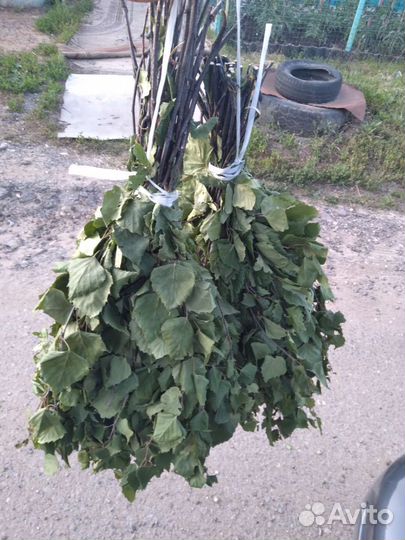 Веники березовые для бани