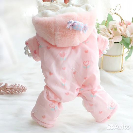 Одежда для собак и кошек