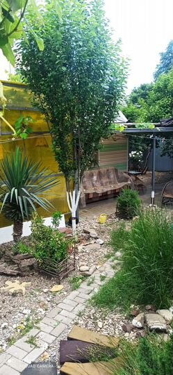 Дом 50 м² на участке 10 сот.