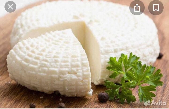 Молоко и молочные продукты