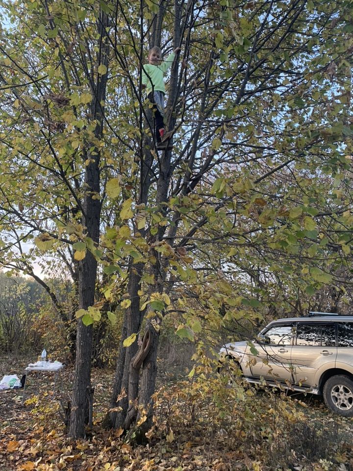 Mitsubishi Pajero: фото владельца