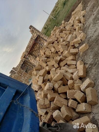 Камень ракушка