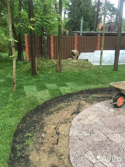 Рулонные газоны