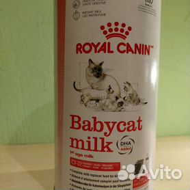 Корм для котят royal canin Babycat milk 300 г