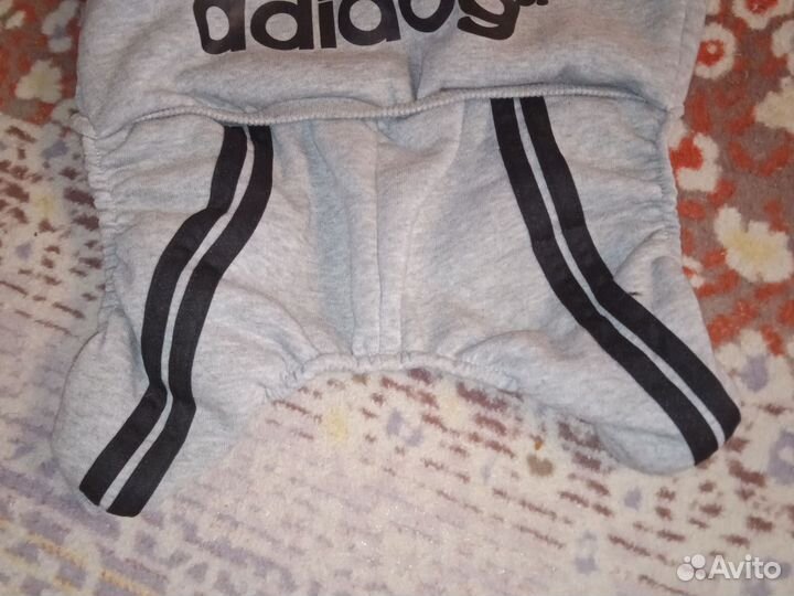 Одежда для маленьких собак L