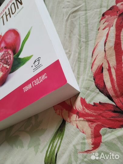 Начинаем программировать на Python