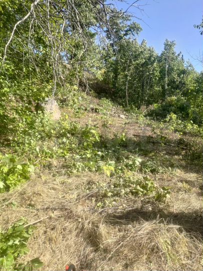 Участок 9,8 сот. (ИЖС)