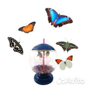 Ферма живых бабочек