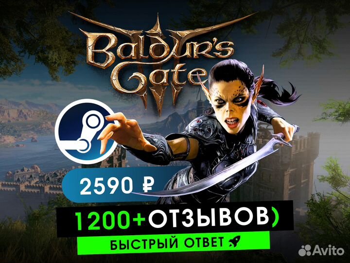 Baldurs Gate 3 Steam Россия / Baldur's Gate III