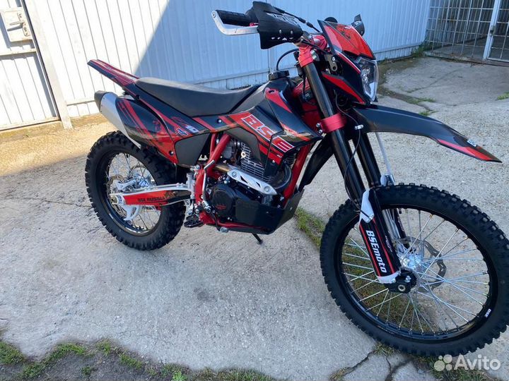 BSE Z10 2023