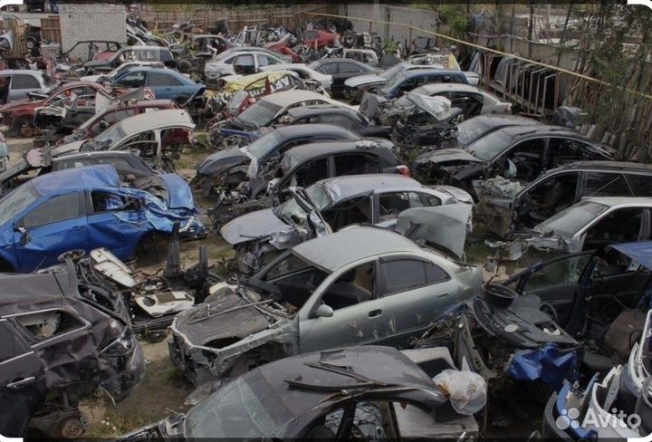 Выкуп битых целых запретных авто