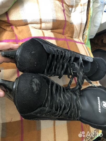 Коньки nordway