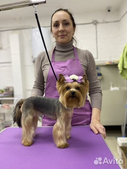 Груминг обучение