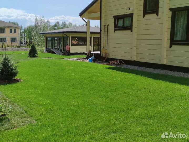 Газон спорт