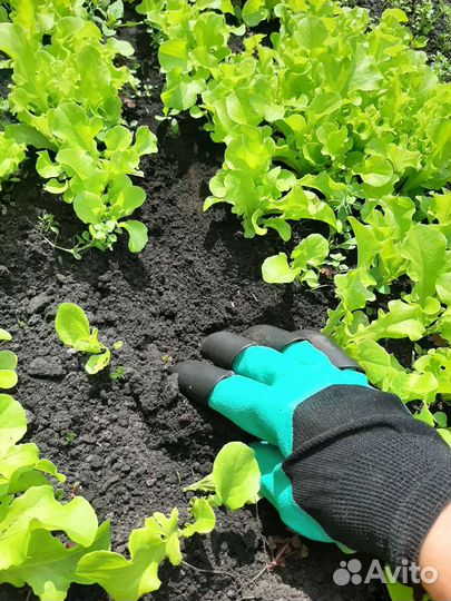 Перчатки садовые с когтями