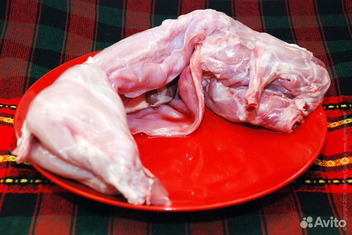 Кролик (мясо)