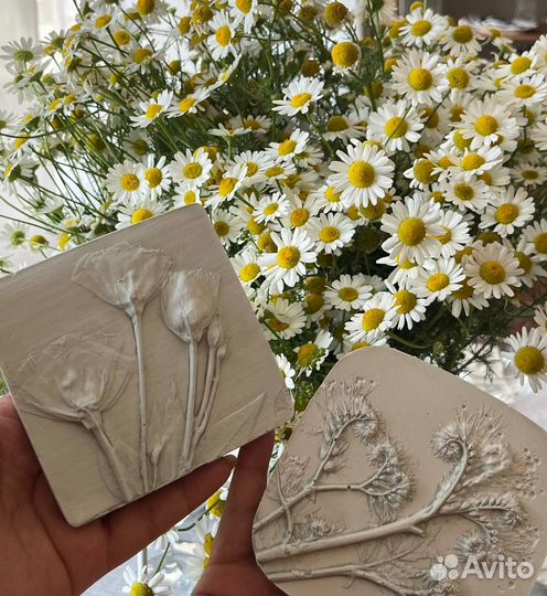 Аренда студии