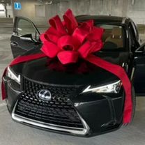 Автомобили из ОАЭ, Павловский Посад