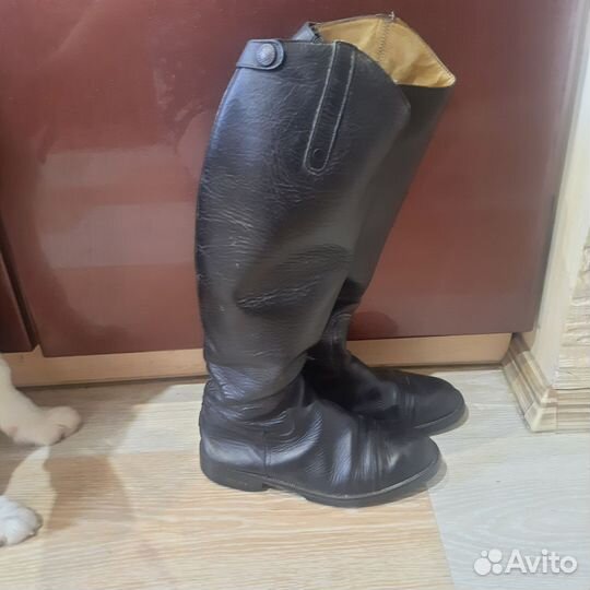 Сапоги для верховой езды/конного спорта