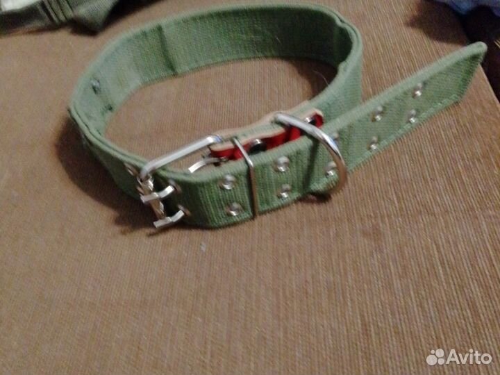 Ошейник для крупной собаки