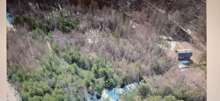 Участок 10 сот. (СНТ, ДНП)