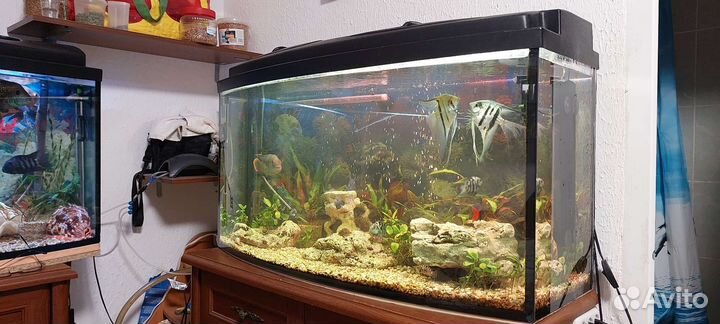 Аквариум