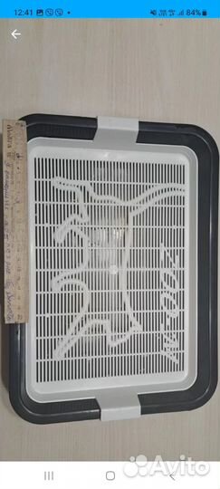 Лоток для котят