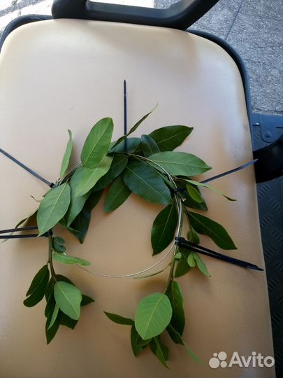 Лавровый венок