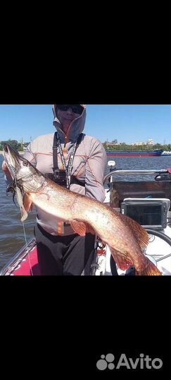 Рыбалка с гидом