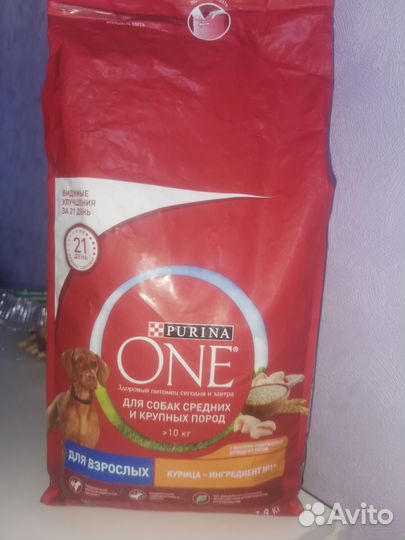 Корм для собак