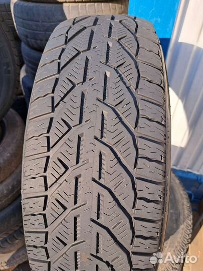 Tigar Winter 205/65 R16 95H