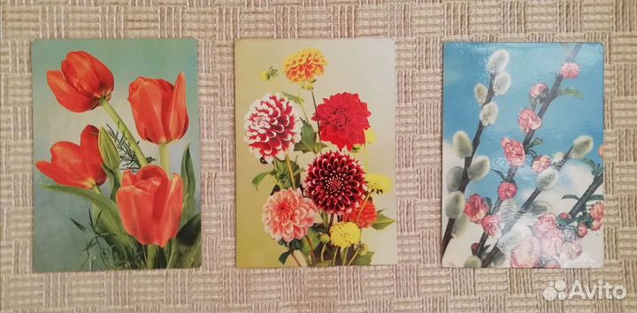 Чистые открытки гдр и СССР