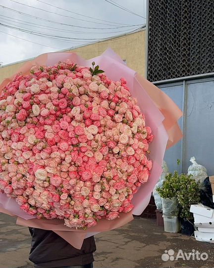 Кустовые пионовидные розы 101 роза