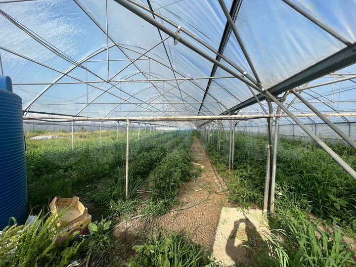 Участок 8,5 га (ИЖС)