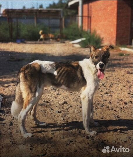Забери меня домой