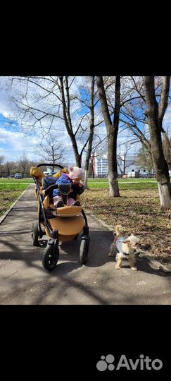 Коляска 2 в 1 эко кожа