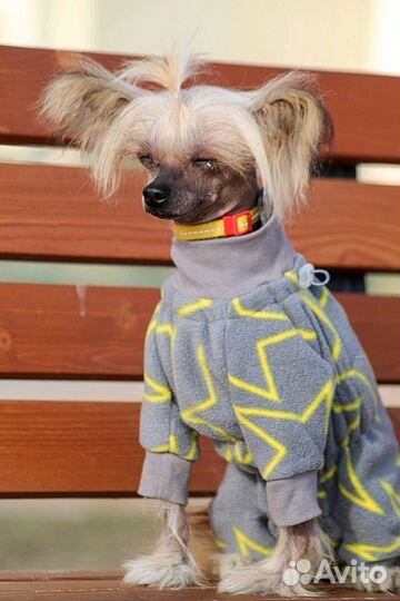 Самый маленький производитель