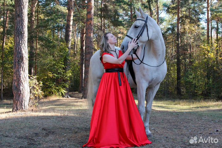 Конные прогулки, лошадь на праздник