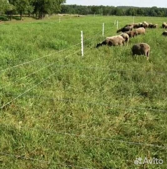 Электроизгородь. Защита пасеки