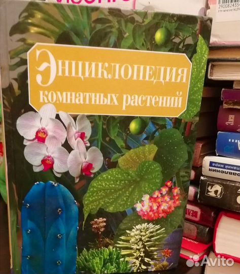 Энциклопедия комнатных растений