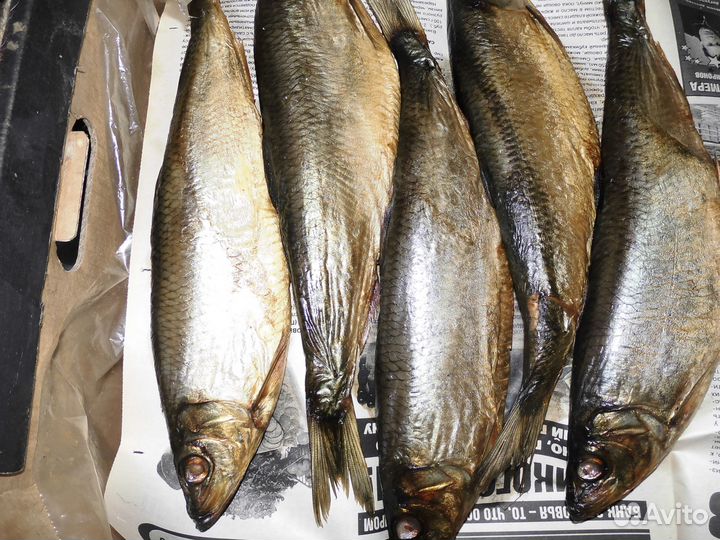 Вяление, сушка, соление любой продукции в Омске